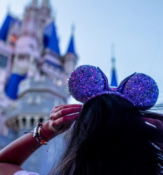 Castelo da Cinderela Walt Disney World